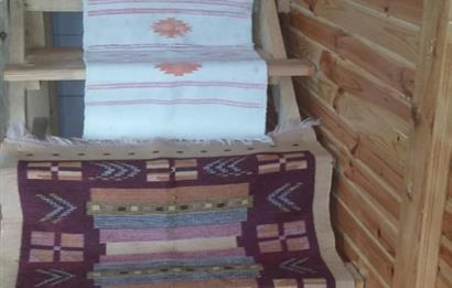 SAKARYA PAMUKOVADA DOĞA HARİKASI EVİ İÇİNDE SATILIK ARSA