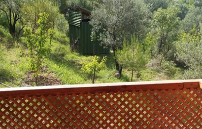 SAKARYA PAMUKOVADA DOĞA HARİKASI EVİ İÇİNDE SATILIK ARSA