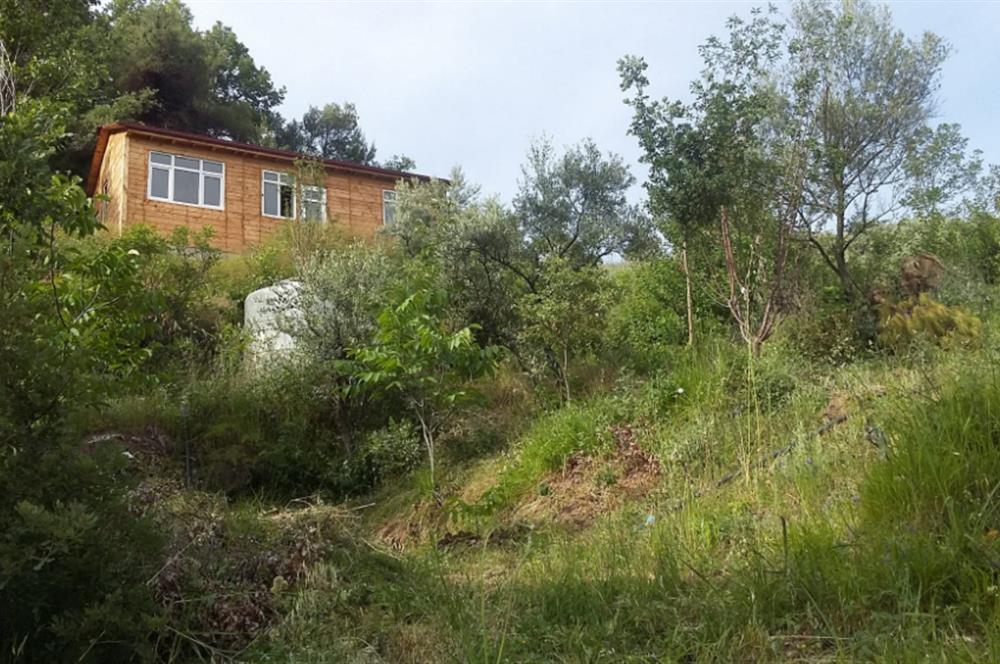 SAKARYA PAMUKOVADA DOĞA HARİKASI EVİ İÇİNDE SATILIK ARSA