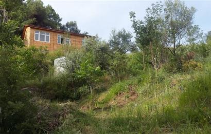 SAKARYA PAMUKOVADA DOĞA HARİKASI EVİ İÇİNDE SATILIK ARSA