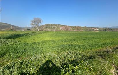 C21 BAL'DAN KEPSUT GİRİŞİ SUSURLUK ÇAYI YANINDA SATILIK TARLA