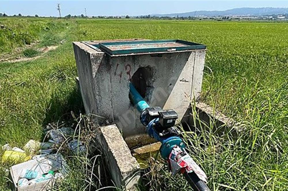 C21 Bal'dan Biga Cihadiye Mahallesinde Satılık Tarla