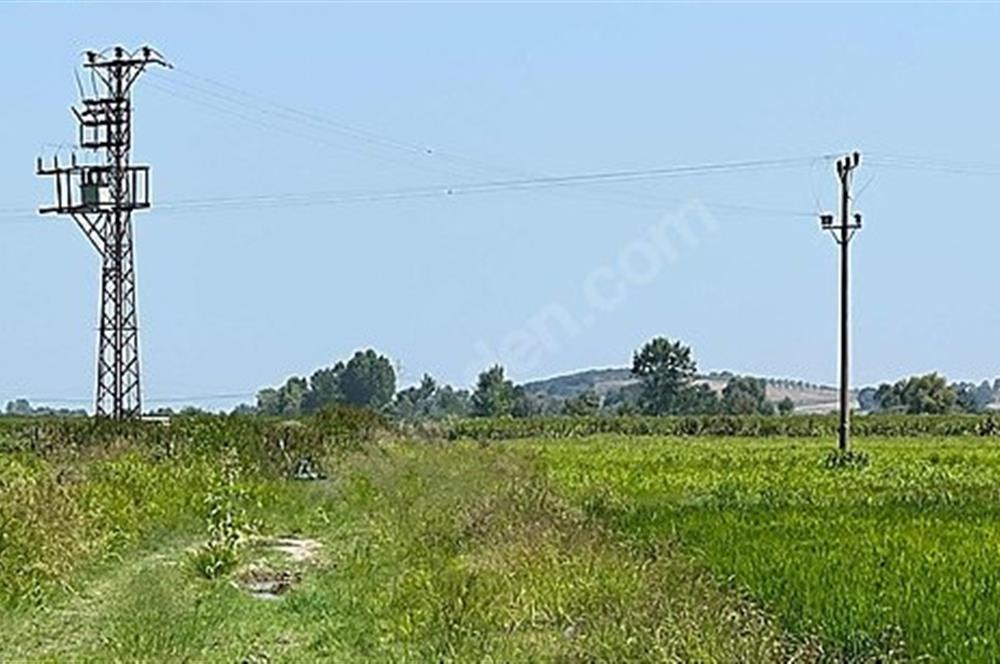 C21 Bal'dan Biga Cihadiye Mahallesinde Satılık Tarla