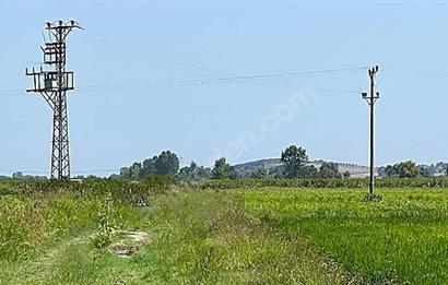 C21 Bal'dan Biga Cihadiye Mahallesinde Satılık Tarla