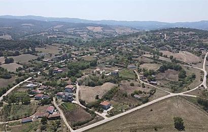 C21 Bal'dan Biga Cihadiye Mahallesinde Satılık Tarla