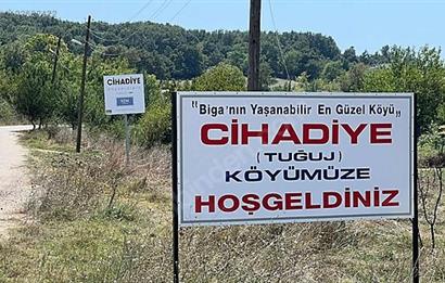 C21 Bal'dan Biga Cihadiye Mahallesinde Satılık Tarla