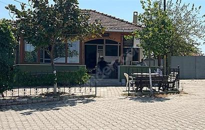 C21 Bal'dan Biga Cihadiye Mahallesinde Satılık Tarla