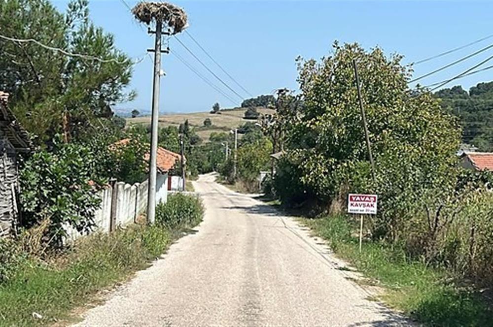 C21 Bal'dan Biga Cihadiye Mahallesinde Satılık Tarla