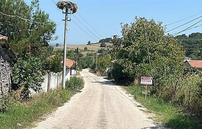 C21 Bal'dan Biga Cihadiye Mahallesinde Satılık Tarla