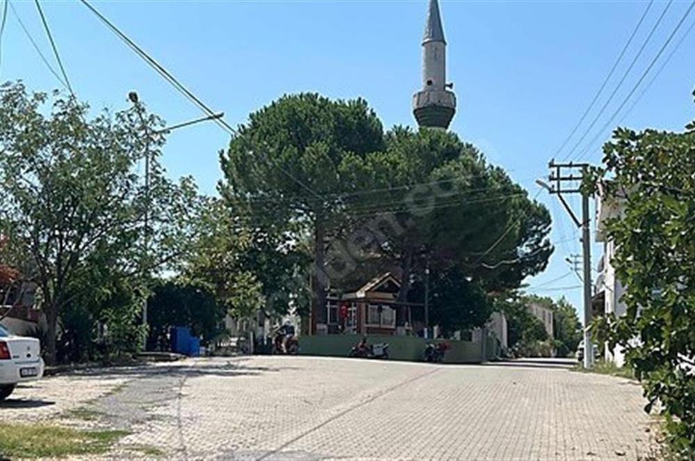 C21 Bal'dan Biga Cihadiye Mahallesinde Satılık Tarla