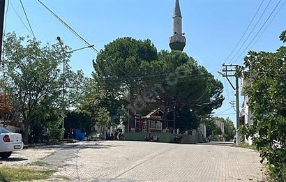 C21 Bal'dan Biga Cihadiye Mahallesinde Satılık Tarla