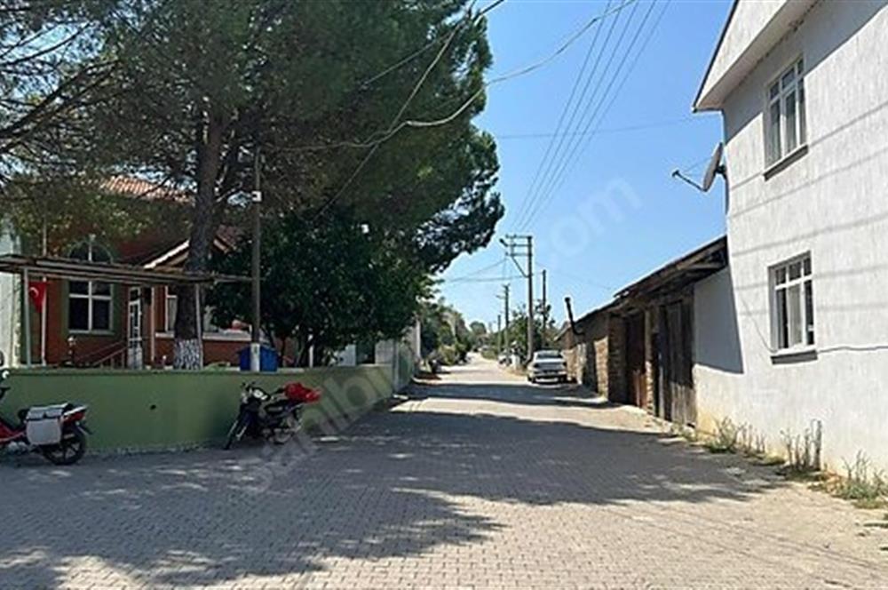 C21 Bal'dan Biga Cihadiye Mahallesinde Satılık Tarla