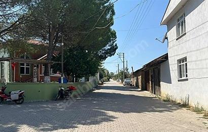C21 Bal'dan Biga Cihadiye Mahallesinde Satılık Tarla