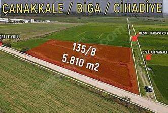 C21 Bal'dan Biga Cihadiye Mahallesinde Satılık Tarla - 1 - 32725