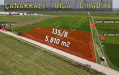 C21 Bal'dan Biga Cihadiye Mahallesinde Satılık Tarla