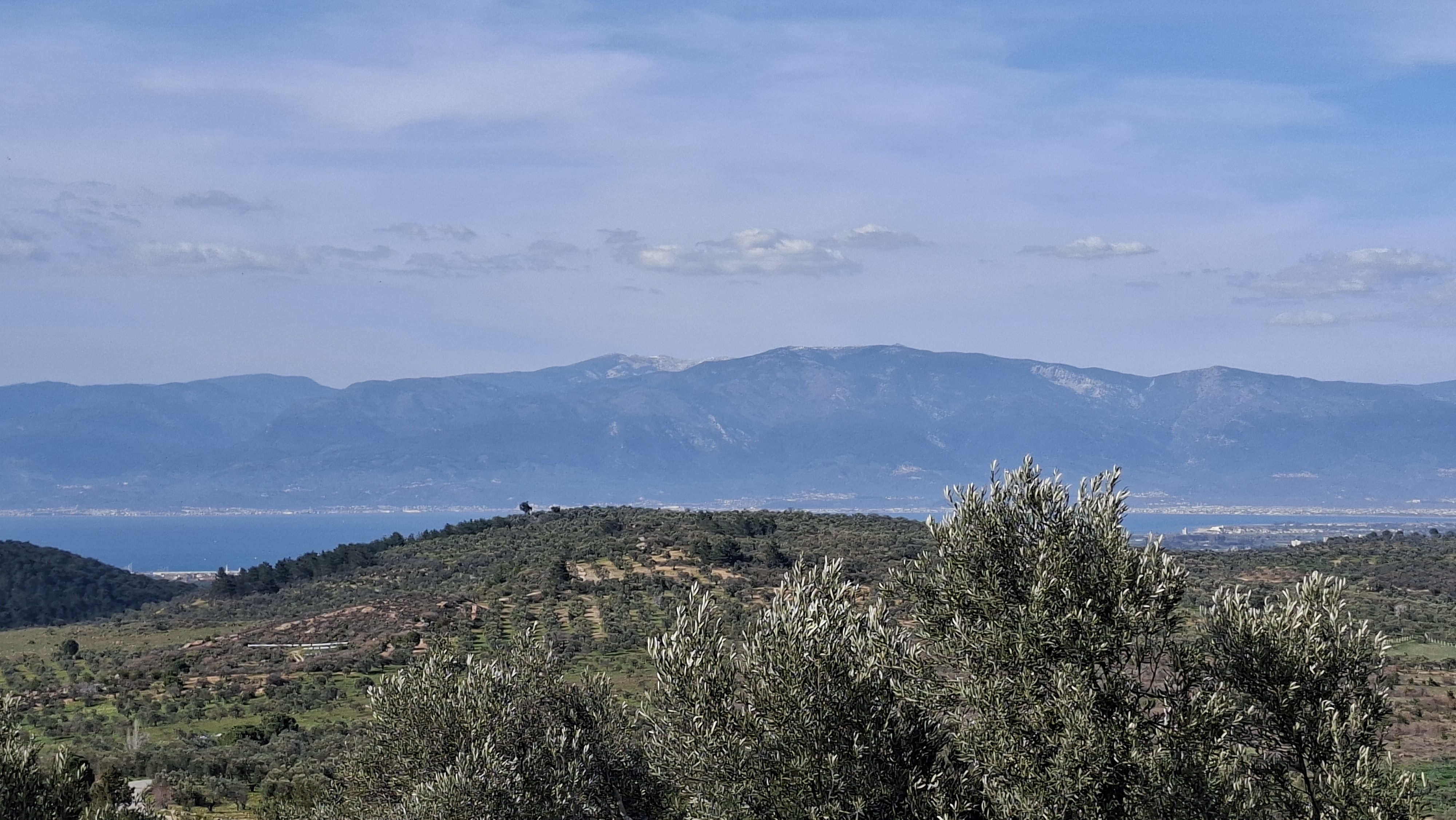 Şahinler Köyüne 900 m – Kuyulu, Yol Sorunsuz Deniz Manzaralı Zeytinlik