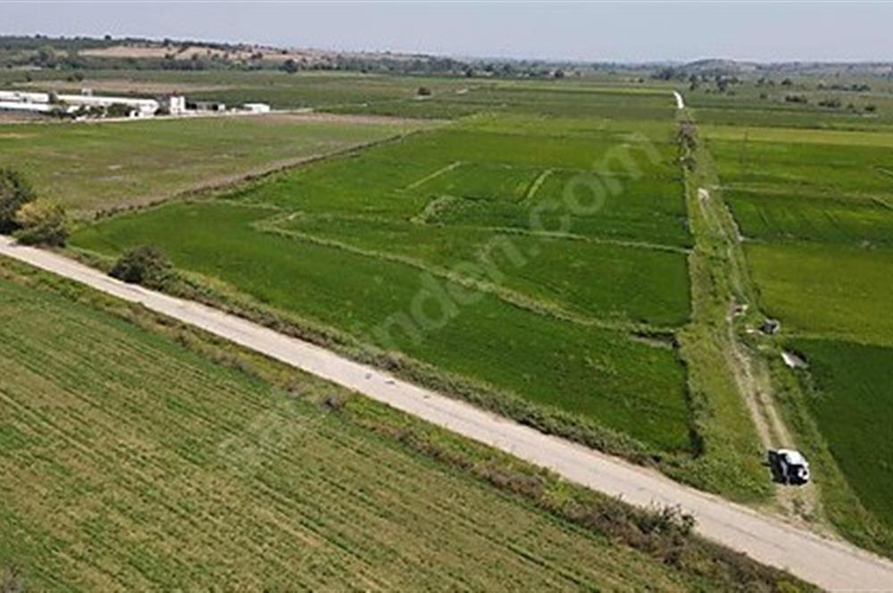C21 Bal'dan Biga Cihadiye Mahallesinde Satılık Tarla