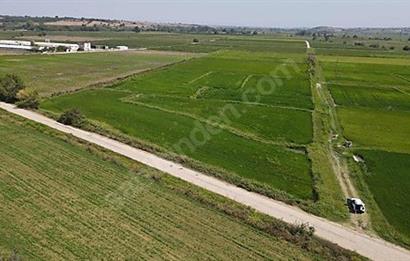 C21 Bal'dan Biga Cihadiye Mahallesinde Satılık Tarla