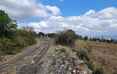 CENTURY21 BAL'DAN ALTIEYLÜL BOZEN MAH.DE SATILIK 18400 M2 TARLA