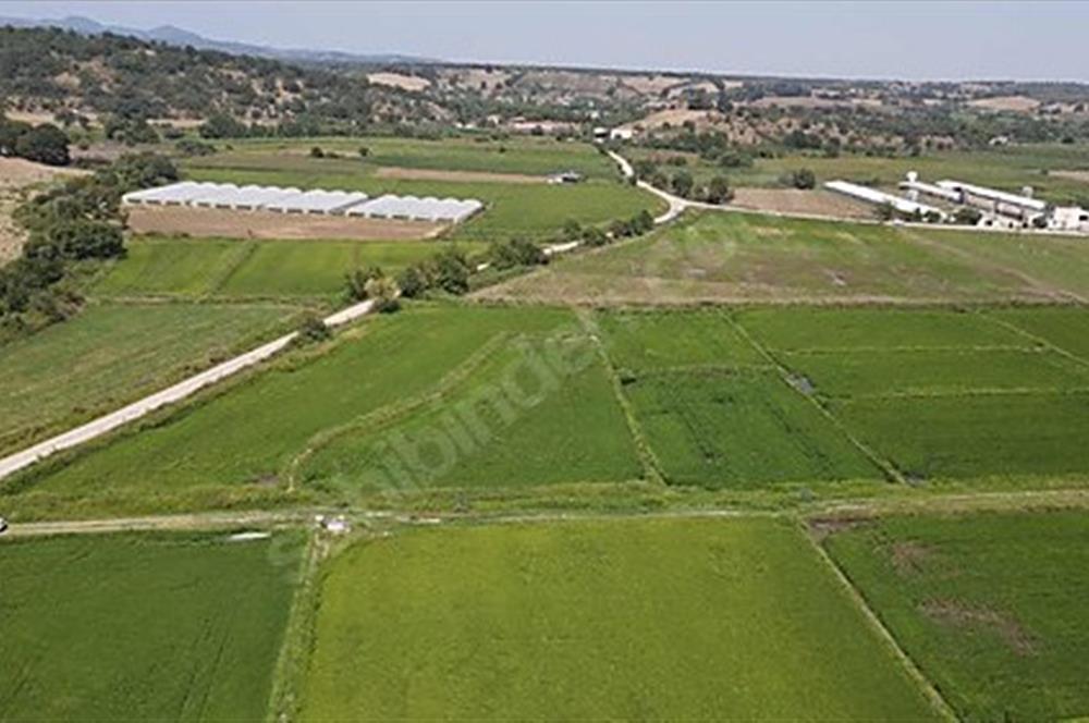 C21 Bal'dan Biga Cihadiye Mahallesinde Satılık Tarla