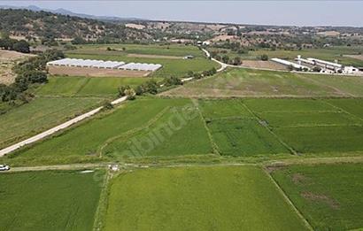 C21 Bal'dan Biga Cihadiye Mahallesinde Satılık Tarla