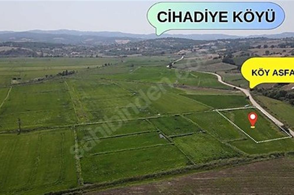 C21 Bal'dan Biga Cihadiye Mahallesinde Satılık Tarla