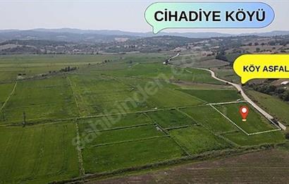 C21 Bal'dan Biga Cihadiye Mahallesinde Satılık Tarla