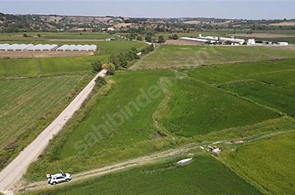 C21 Bal'dan Biga Cihadiye Mahallesinde Satılık Tarla