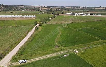 C21 Bal'dan Biga Cihadiye Mahallesinde Satılık Tarla