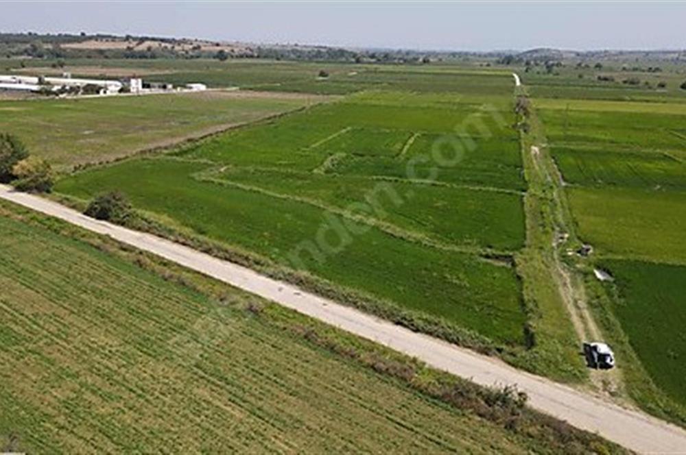 C21 Bal'dan Biga Cihadiye Mahallesinde Satılık Tarla