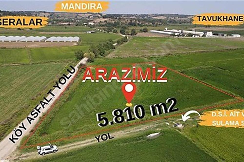 C21 Bal'dan Biga Cihadiye Mahallesinde Satılık Tarla