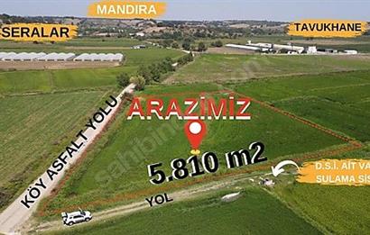 C21 Bal'dan Biga Cihadiye Mahallesinde Satılık Tarla