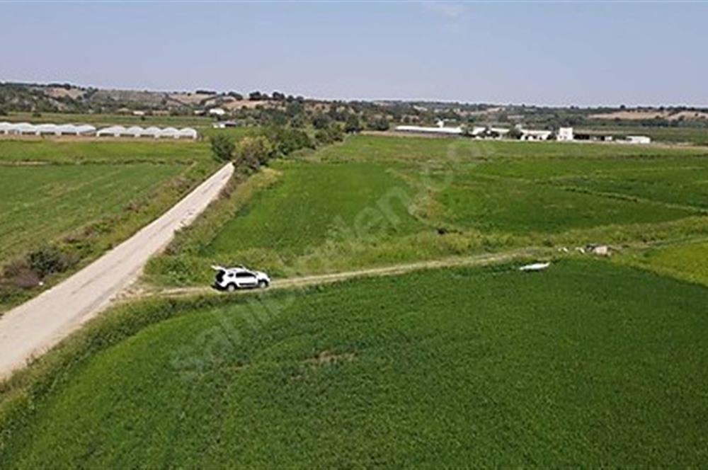 C21 Bal'dan Biga Cihadiye Mahallesinde Satılık Tarla