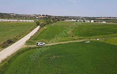 C21 Bal'dan Biga Cihadiye Mahallesinde Satılık Tarla