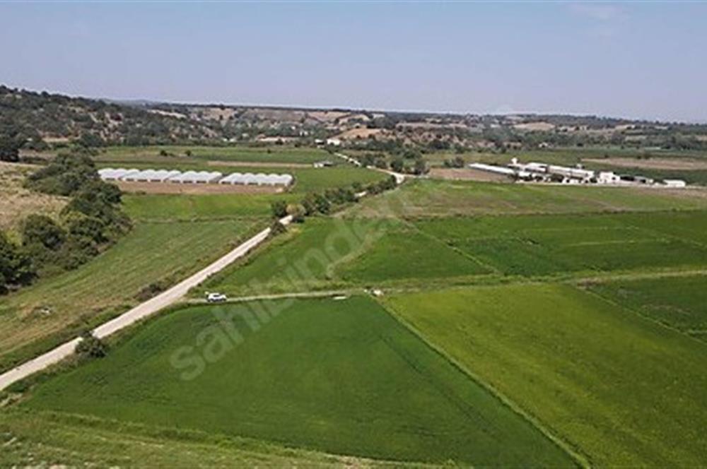 C21 Bal'dan Biga Cihadiye Mahallesinde Satılık Tarla