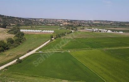 C21 Bal'dan Biga Cihadiye Mahallesinde Satılık Tarla