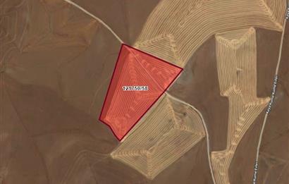 GÖLBAŞI SELAMETLİ MAHALLESİNDE 26.765 m² SATILIK TARLA