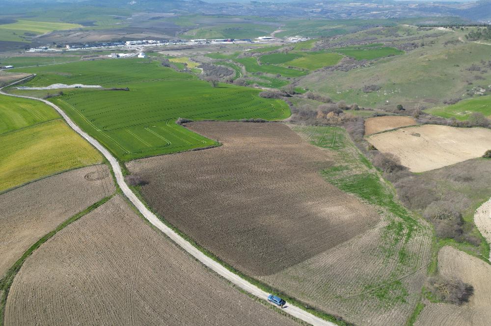 CENTRUY 21 BAL'DAN  SUSURLUK SÜLECEK MAHALLESİ SATILIK TARLA