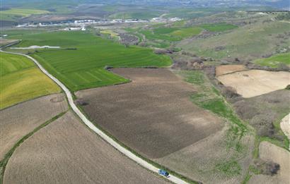 CENTRUY 21 BAL'DAN  SUSURLUK SÜLECEK MAHALLESİ SATILIK TARLA