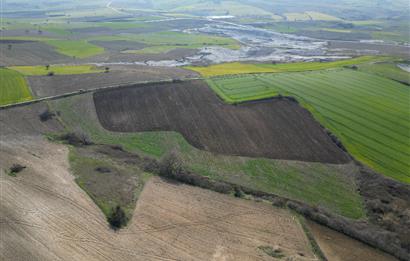 CENTRUY 21 BAL'DAN  SUSURLUK SÜLECEK MAHALLESİ SATILIK TARLA