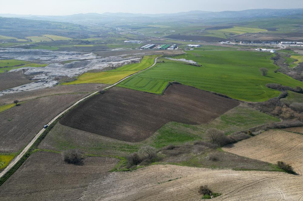 CENTRUY 21 BAL'DAN  SUSURLUK SÜLECEK MAHALLESİ SATILIK TARLA