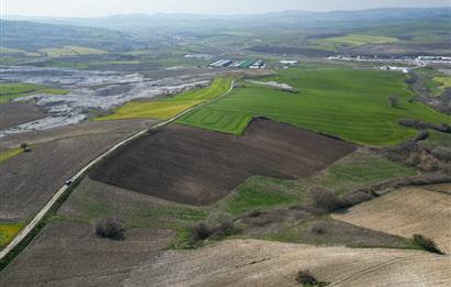 CENTRUY 21 BAL'DAN  SUSURLUK SÜLECEK MAHALLESİ SATILIK TARLA
