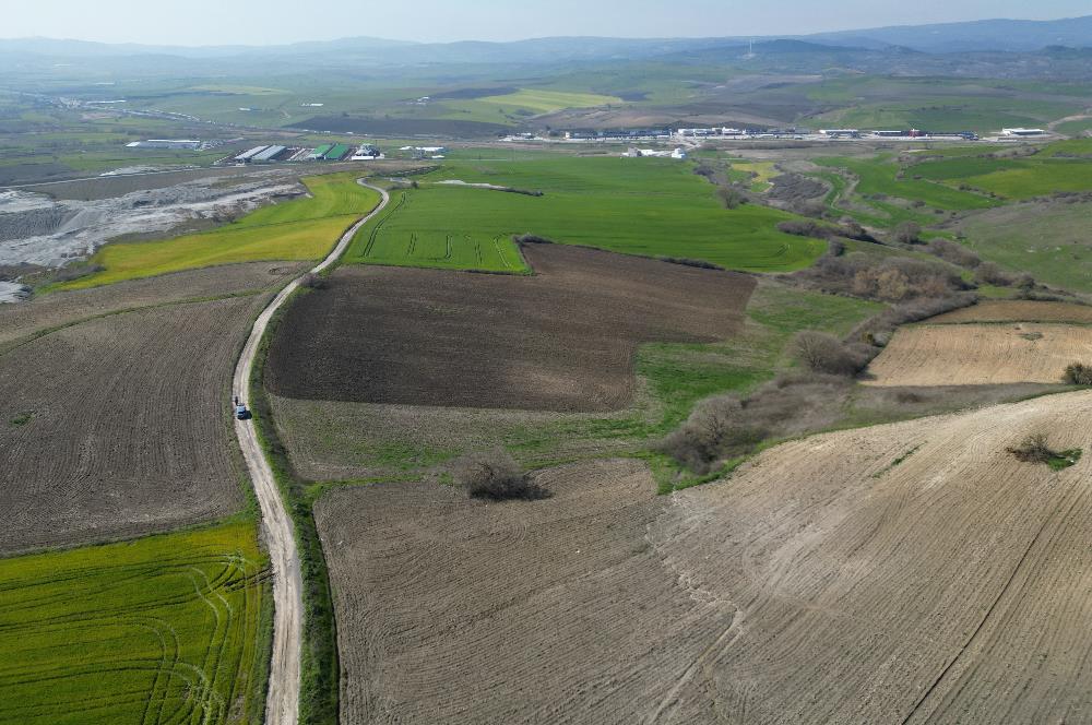 CENTRUY 21 BAL'DAN  SUSURLUK SÜLECEK MAHALLESİ SATILIK TARLA