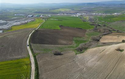 CENTRUY 21 BAL'DAN  SUSURLUK SÜLECEK MAHALLESİ SATILIK TARLA