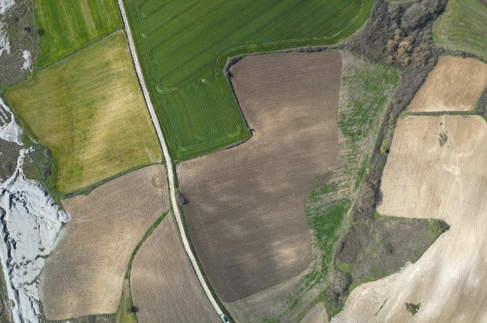 CENTRUY 21 BAL'DAN  SUSURLUK SÜLECEK MAHALLESİ SATILIK TARLA