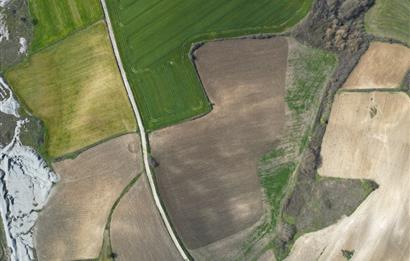 CENTRUY 21 BAL'DAN  SUSURLUK SÜLECEK MAHALLESİ SATILIK TARLA