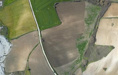 CENTRUY 21 BAL'DAN  SUSURLUK SÜLECEK MAHALLESİ SATILIK TARLA