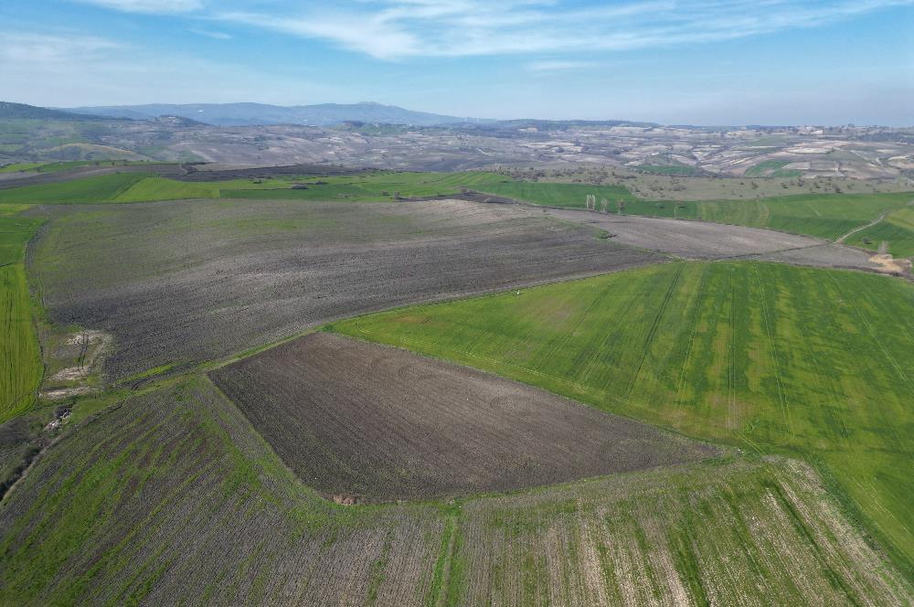 CENTRUY 21 BAL'DAN  SUSURLUK SULTANÇAYIR MAHALLESİ SATILIK TARLA