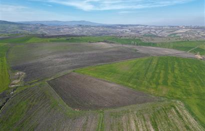 CENTRUY 21 BAL'DAN  SUSURLUK SULTANÇAYIR MAHALLESİ SATILIK TARLA