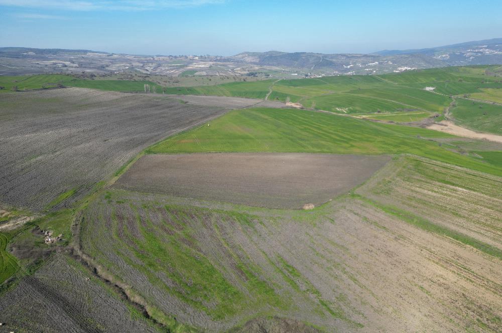 CENTRUY 21 BAL'DAN  SUSURLUK SULTANÇAYIR MAHALLESİ SATILIK TARLA